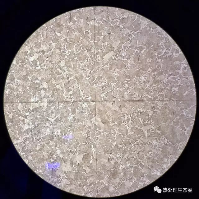 惊喜发现金相组织可以用手机随意拍摄太方便了