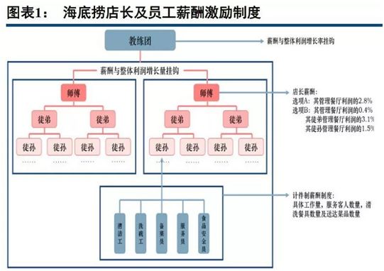 海底捞传销式"师徒制"的创新实践启示