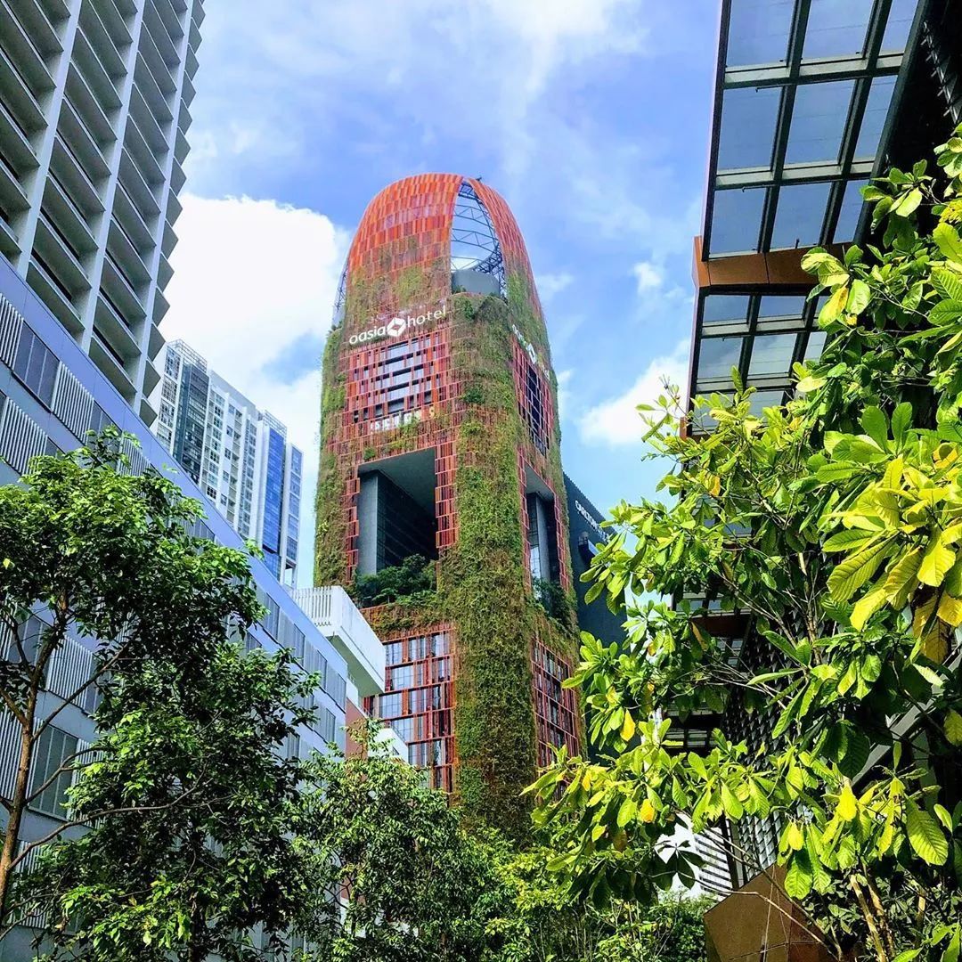 新加坡组屋将有新变化外国人看了表示好羡慕