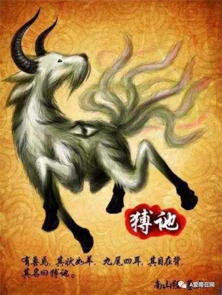 南召县珍稀动物纪实