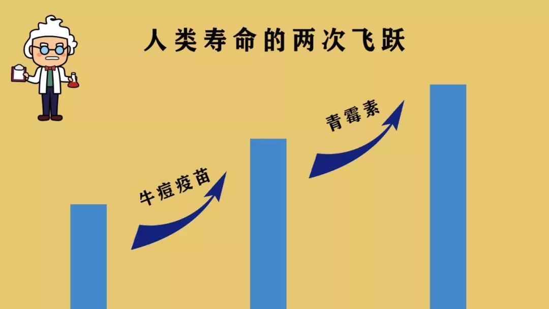 人类寿命的两次飞跃人类的寿命"定海神针"是什么?