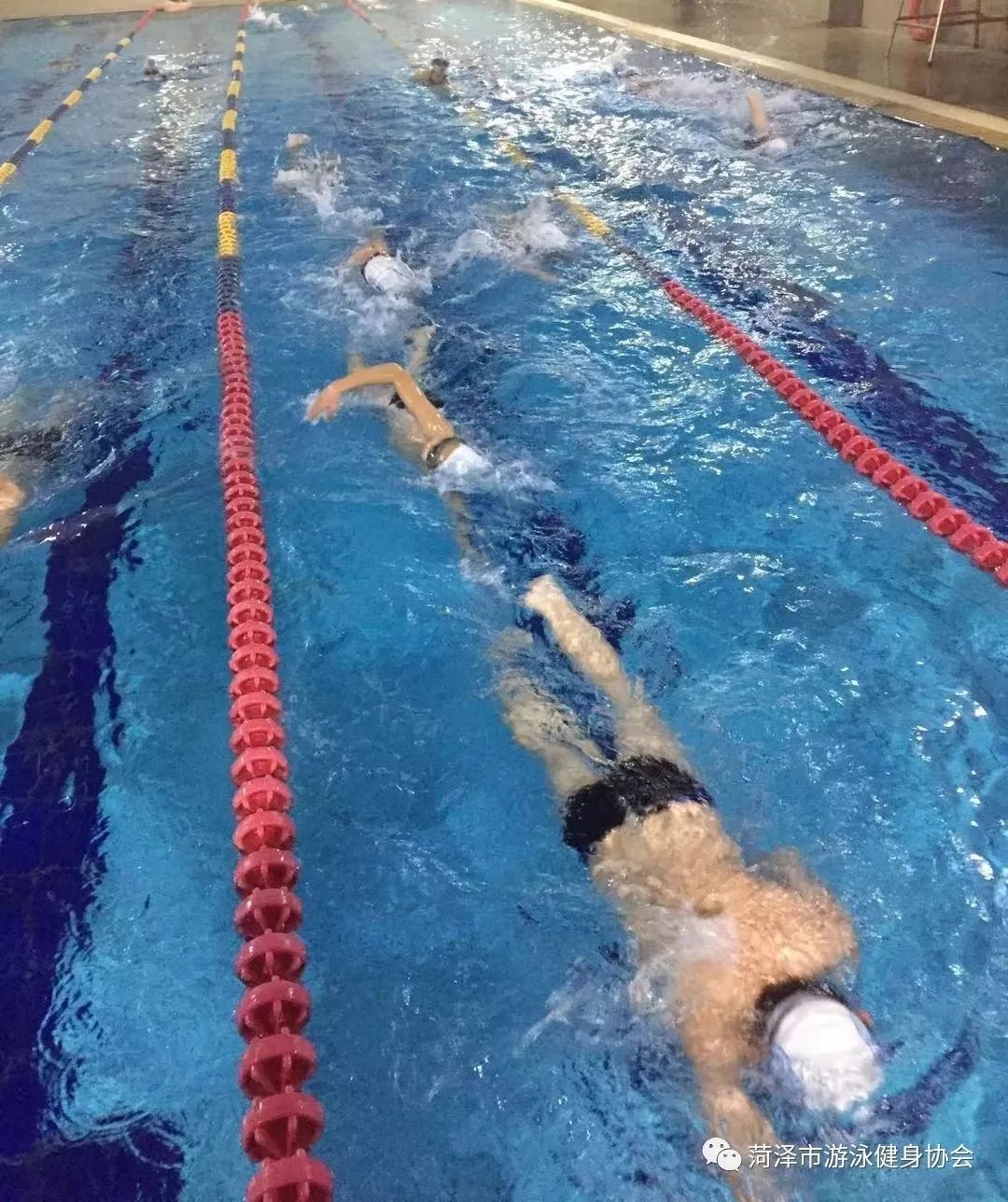 菏泽市游泳健身协会游泳冬令营正在进行