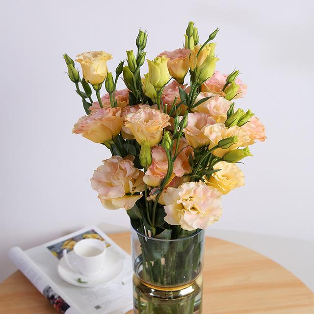 过年了家里放什么鲜花好它们分别有什么寓意