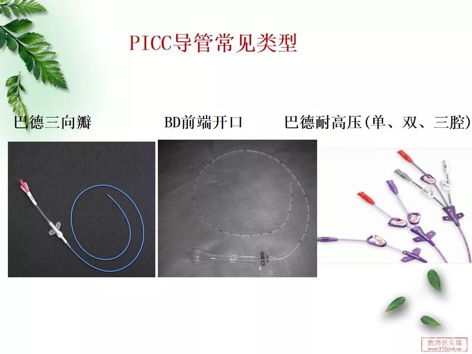 巴德三向瓣膜导管图图片