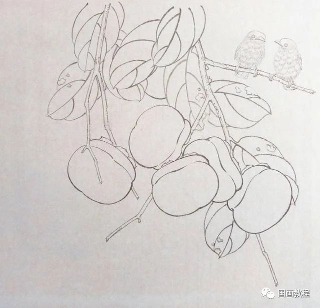 国画教程工笔柿子事事如意分步画法教程