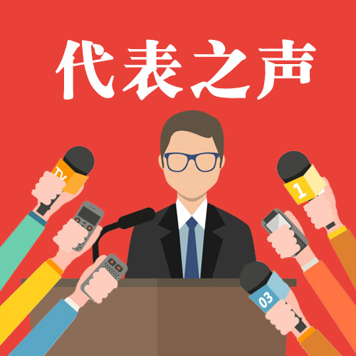 全国人大代表畅谈中国之治丨保护好民营企业的"无形资产"