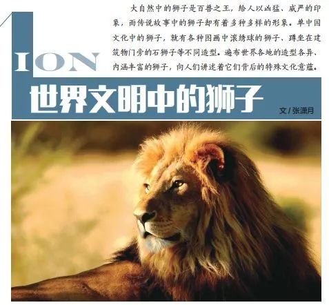喜讯中少总社奇趣博物馆入选2019博物馆主题优选童书