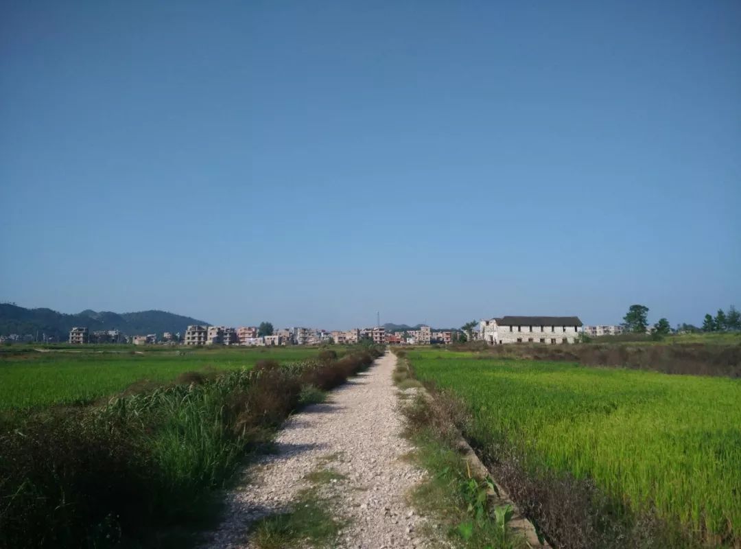 搞的好!宁远云潭村突然来了上百人