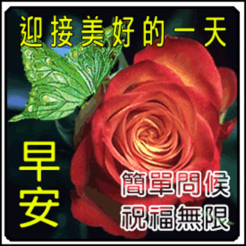 时常惦记你才是心里有你的人一直陪着你才是最爱你的人早安