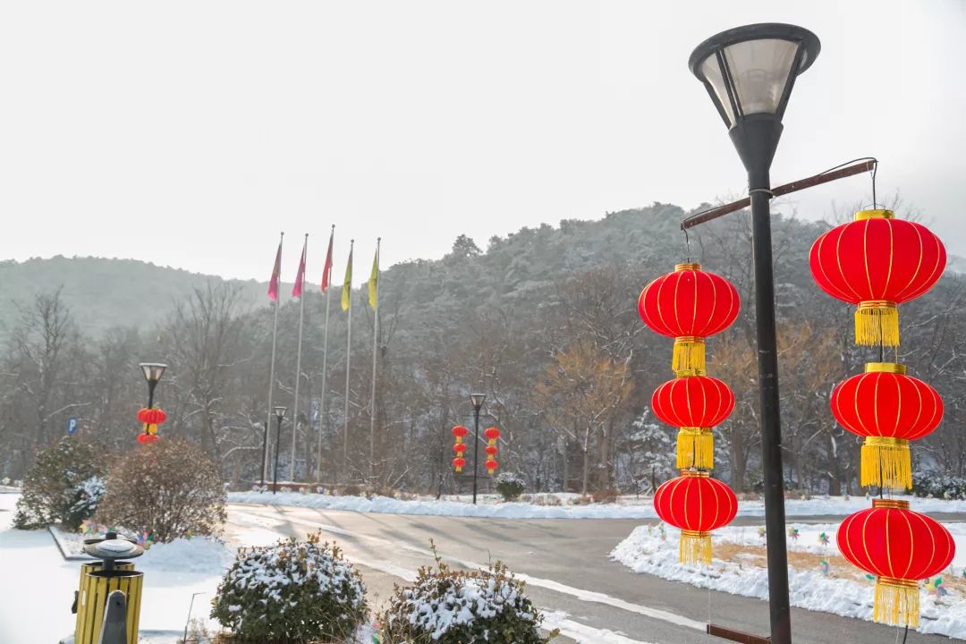 酒店地址,联系电话北京市平谷区密三路刘家店段99号洛娃森林公园内