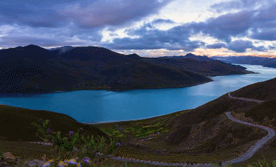 403_244gif 动态图 动图