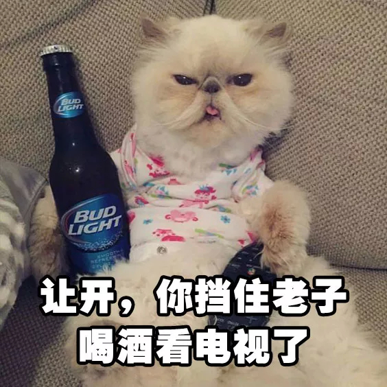 猫猫喝酒表情包