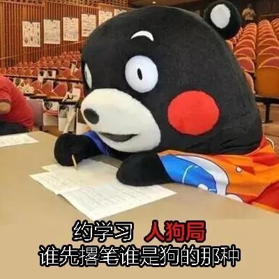 学霸专用表情包:你喜欢我也没用,我只喜欢学习!