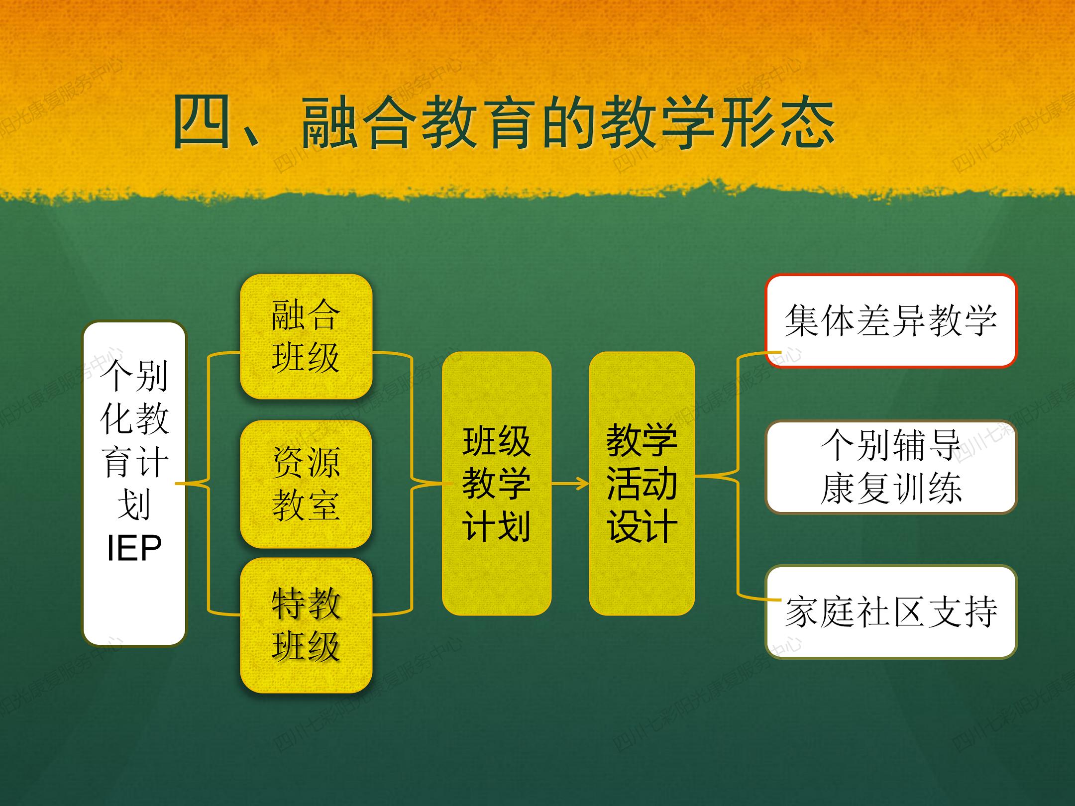 四川七彩阳光康复服务中心:融合教育课程与教学改革