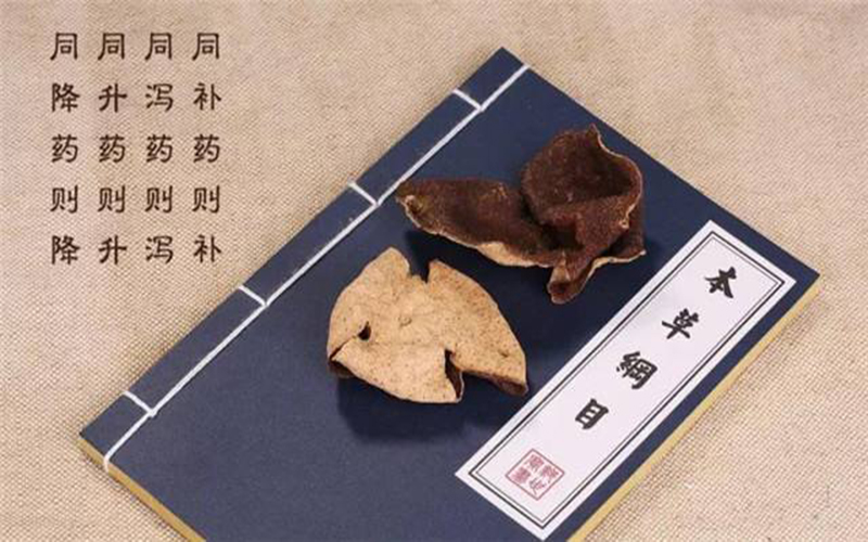 背后原因:陈皮为什么越老越值钱_新会