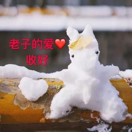 北京2020年的第一场雪他们堆出了一个个萌萌哒小雪人想象一座城