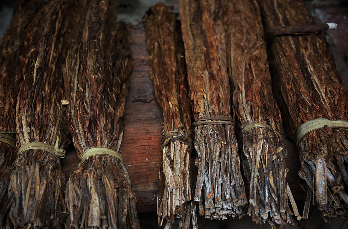 四川老一辈人的心头好戏称是农村土雪茄每天少一根都不自在