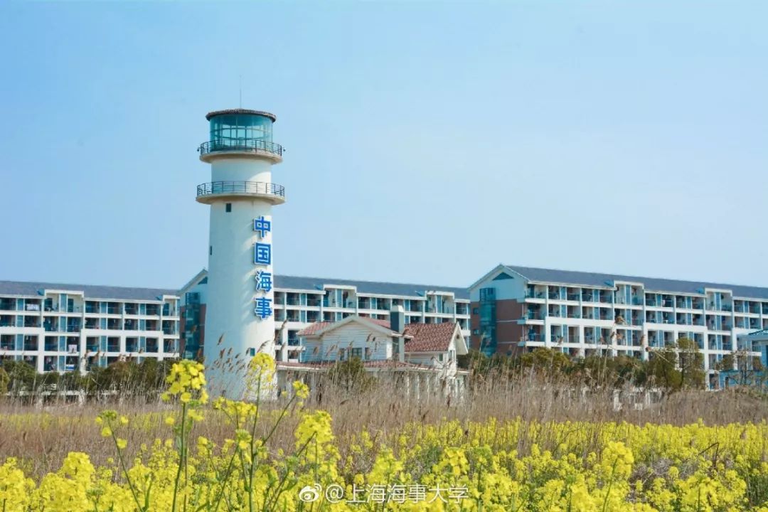 上海海事大学信息化办公室公开招聘总工程师副总工程师公告