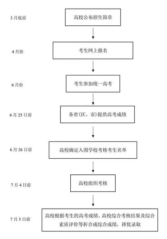 学业规划:未来的桥梁