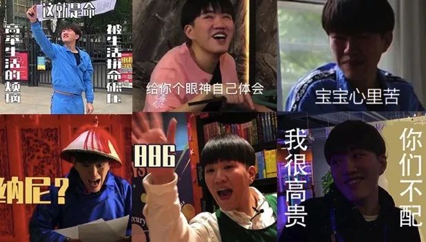 用表情包撑起一部综艺,《仙子万事屋》可真敢玩!