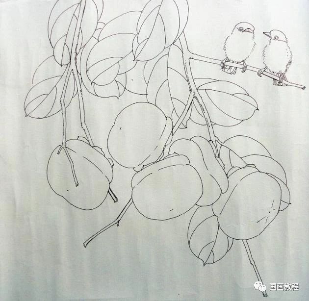 国画教程工笔柿子事事如意分步画法教程