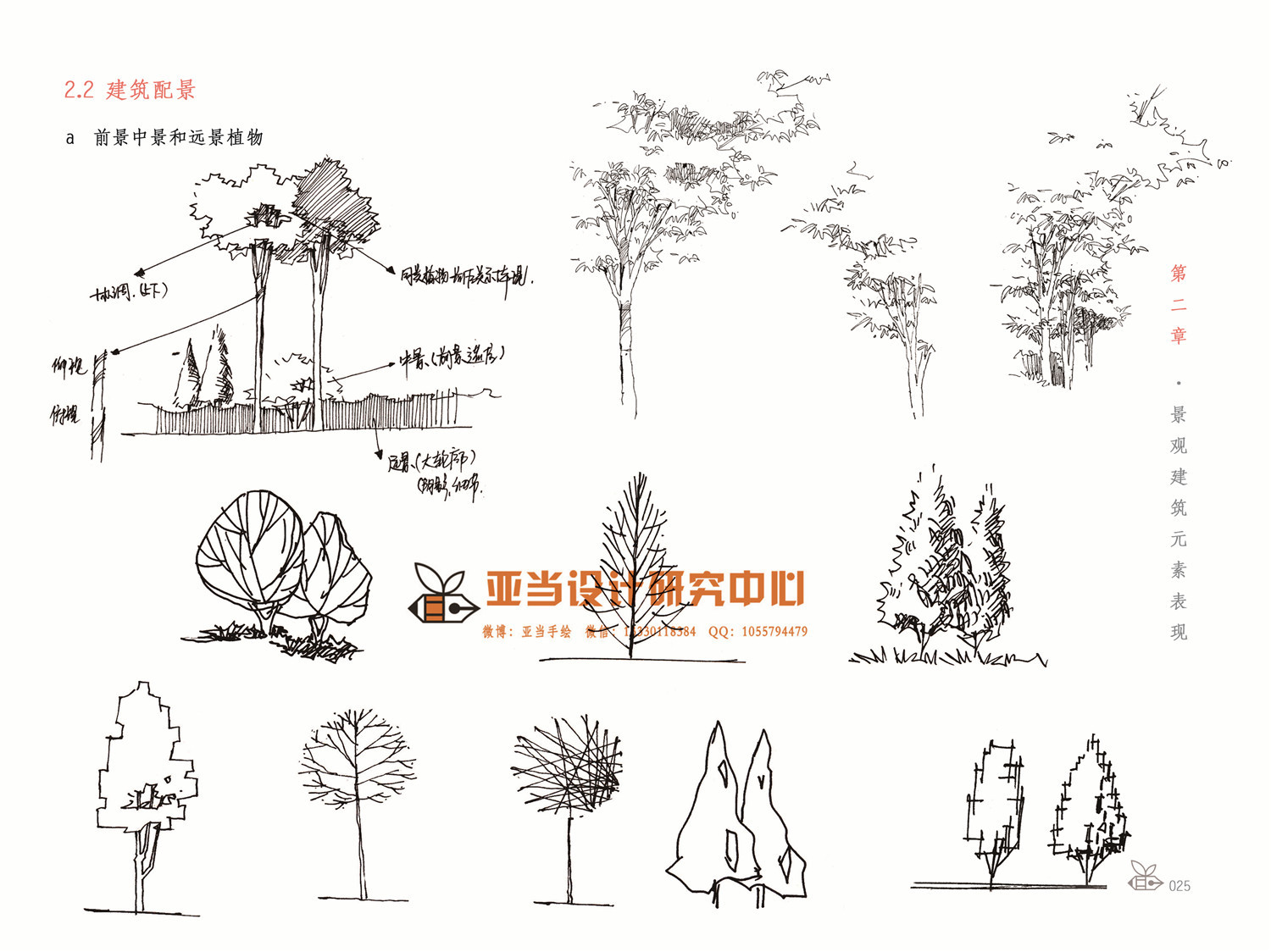 景观建筑设计手绘保姆级教程纯干货线条篇植物篇