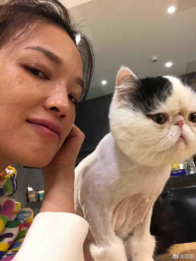 舒淇素面朝天cos猫咪表情,皮肤蜡黄眼眶黑青毫无女神包袱