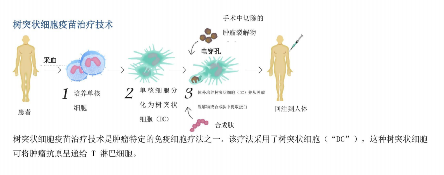 免疫细胞治疗的发展史_疗法