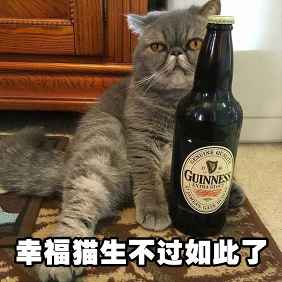 小猫买酒钱丢了表情图片