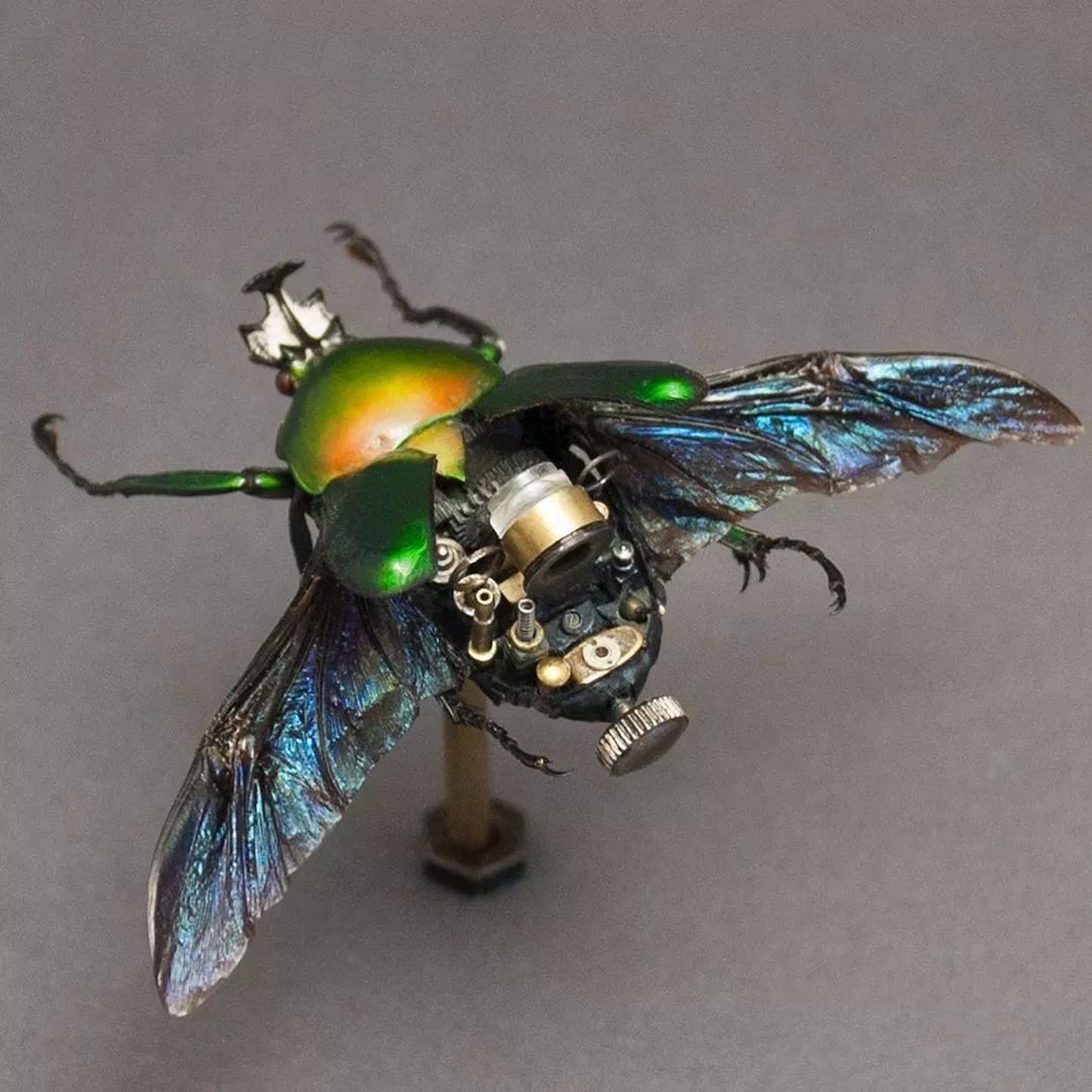 机械昆虫 | 美国艺术家mike libby_甲虫