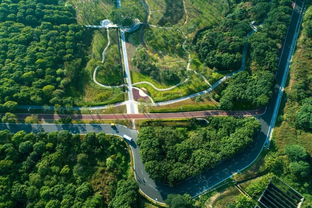 家园报惊艳海量你未见过的罗湖绿道美图袭来