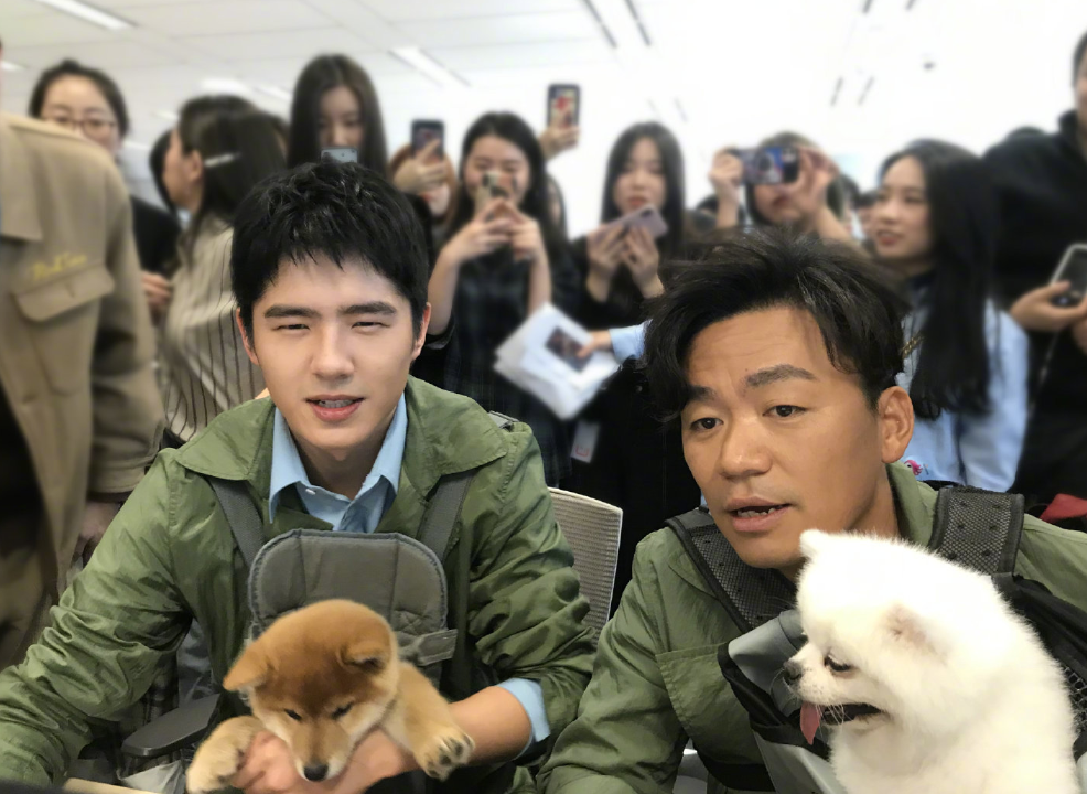 刘昊然王宝强拜年,看不清字像极了近视的我们,戴上眼镜我心动了