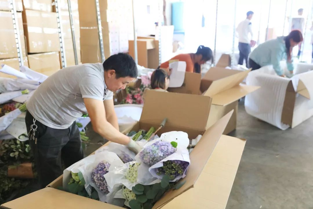 不同运输方向进行打包再根据不同品类花花们被分拣入各鲜花商的货仓