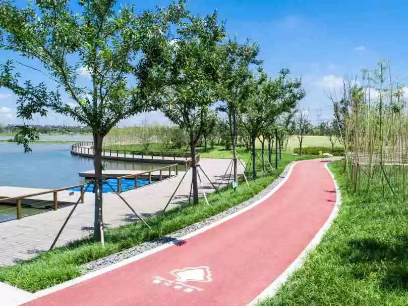    滑动查看下一张图片 >>白水塘河南岸绿化项目,将城市绿地建设与