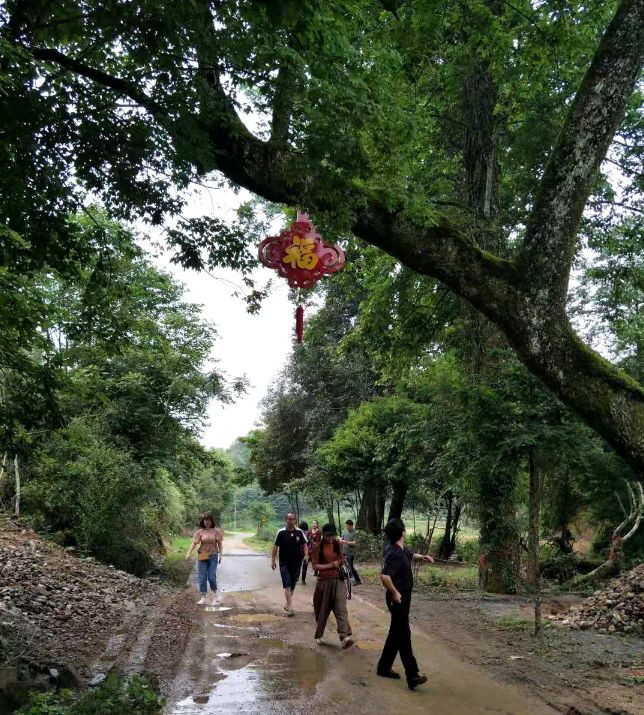 美丽乡村建设示范村—明溪县胡坊镇福西村 胡坊镇提供美丽乡村建设