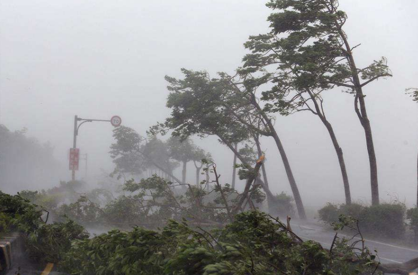 2019年我国十大自然灾害事件,哪些是我们熟悉的?