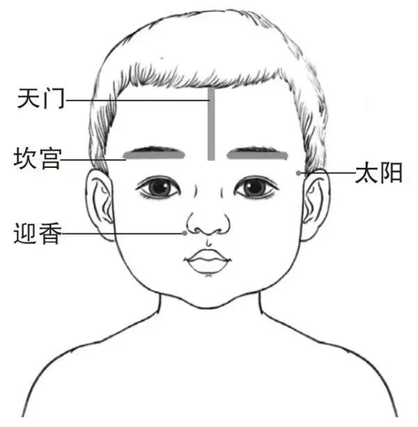 天门位置 两眉正中至前发际成一直线