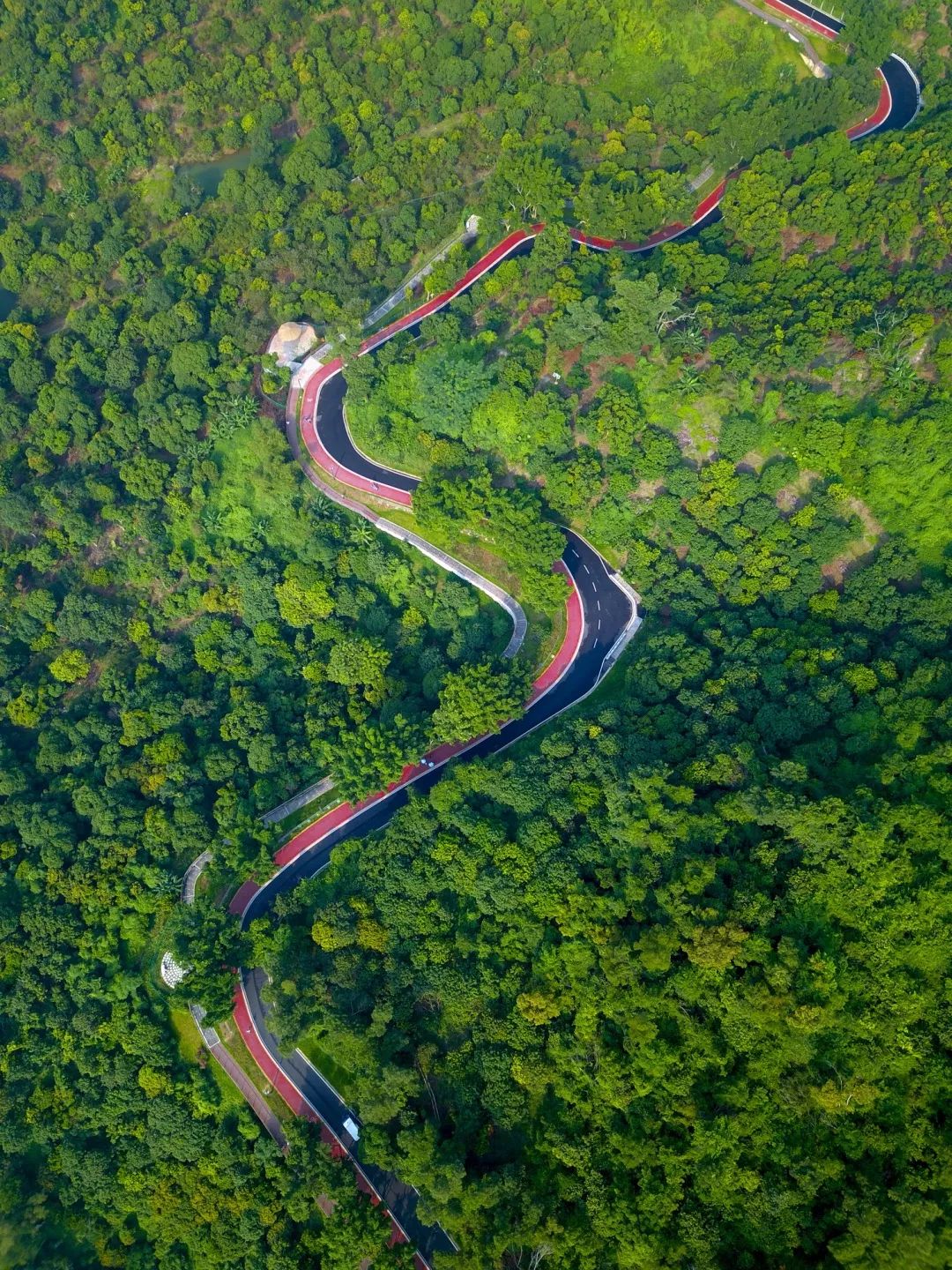 家园报惊艳海量你未见过的罗湖绿道美图袭来