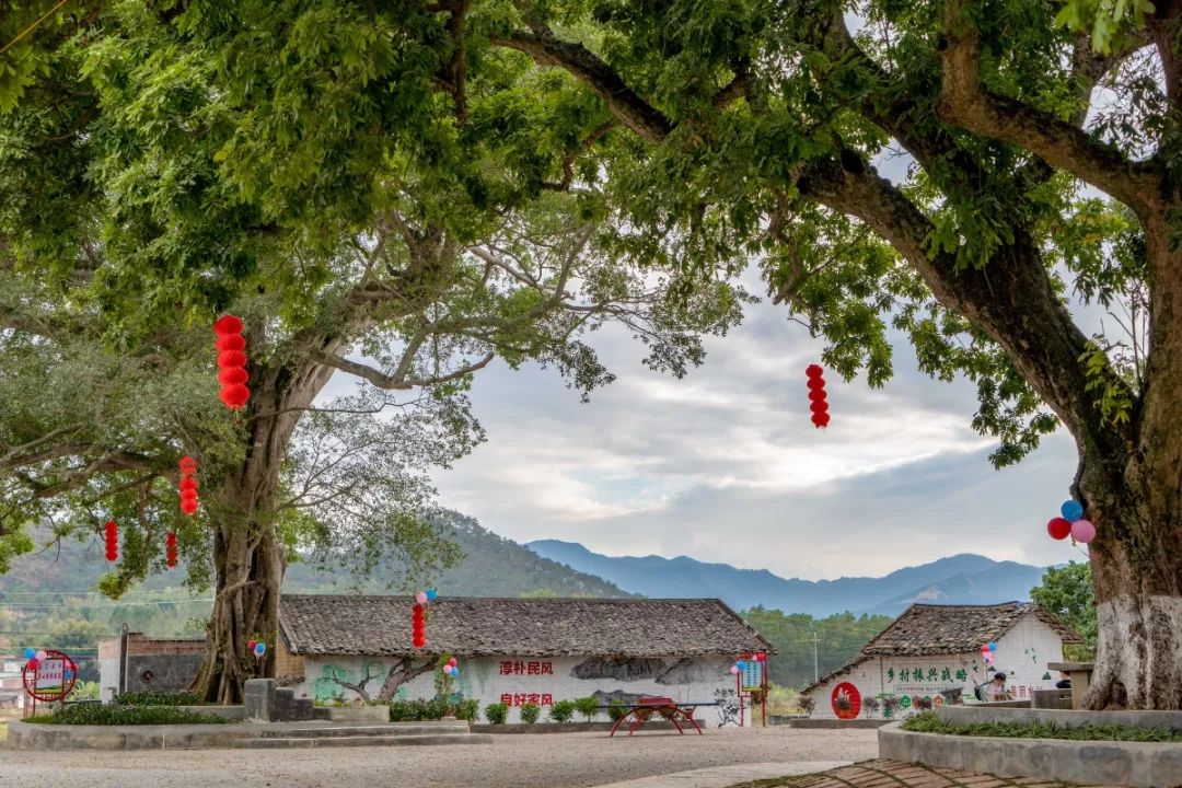 住在䓣塘镇这条村的人有福了,真让人羡慕._罗定