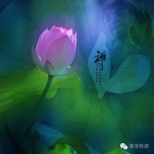 清涼禪音雲水禪心花開見佛