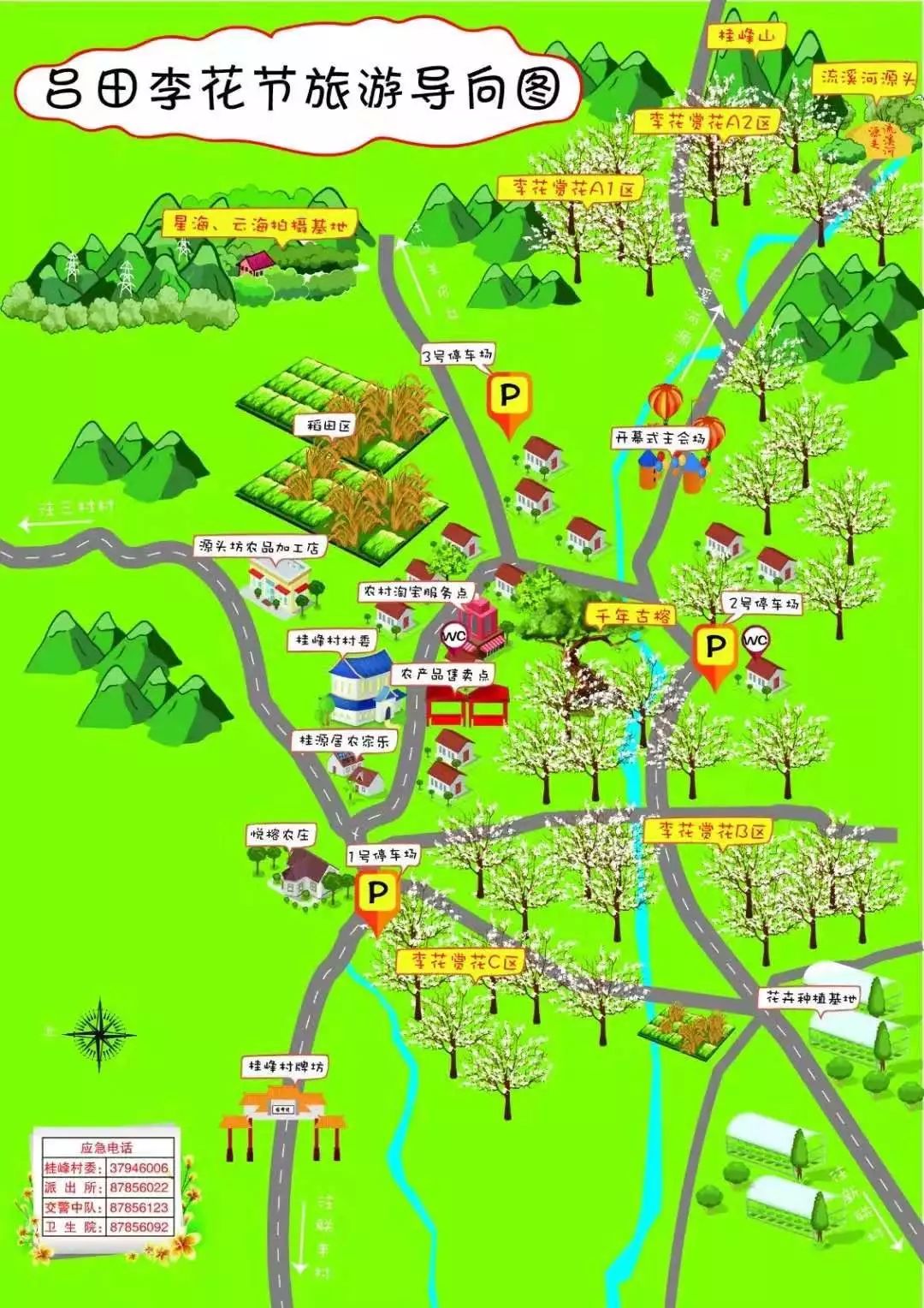 从化吕田镇李花图片&视频:巢