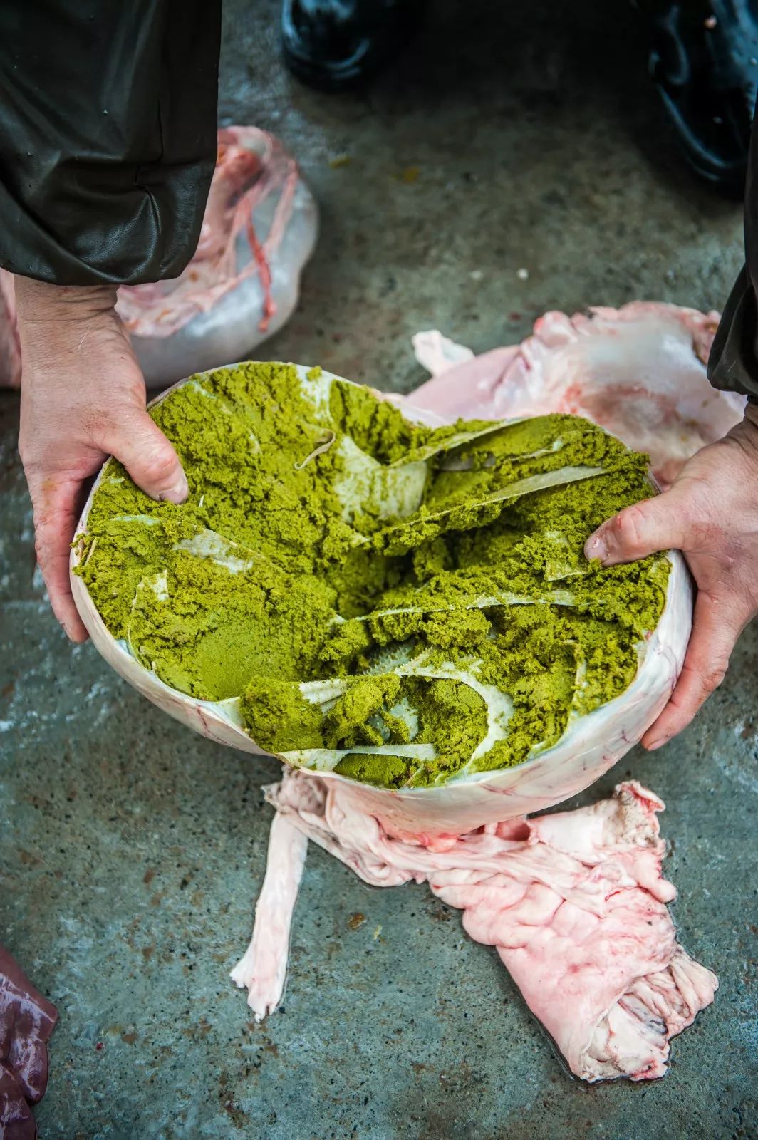 中国到底哪里的牛肉最好吃?