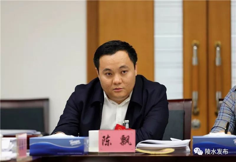 陈飘代表说政府工作报告就一个"实"字,总结2019年工作实实在在,部署