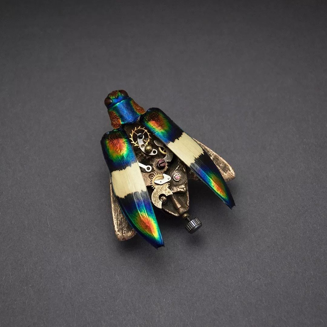 机械昆虫 | 美国艺术家mike libby_甲虫