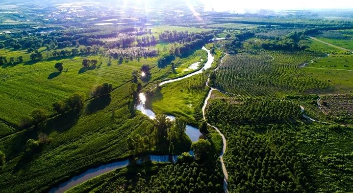 三种河川两岸护岸护滩林!