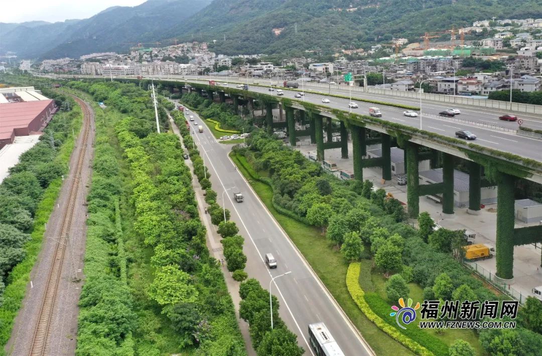 葉義斌/攝鼓山隧道及兩端連接段種下大葉榕,朴樹,大腹木棉,黃山欒