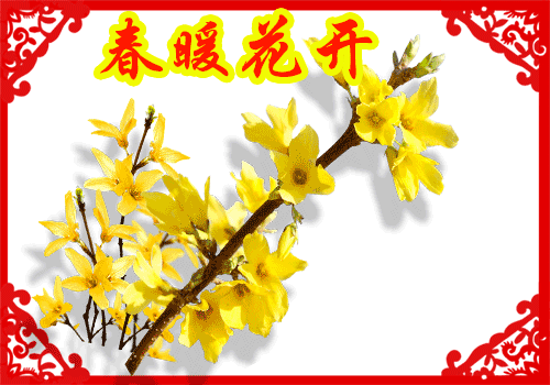 500_350gif 动态图 动图