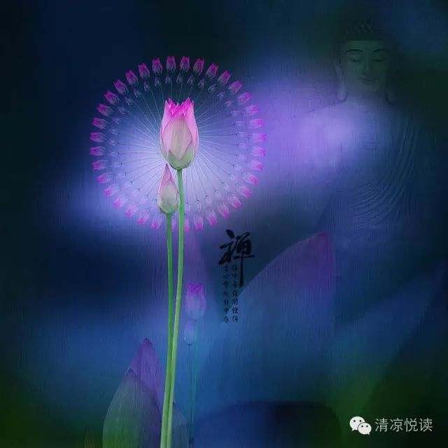 清凉禅音云水禅心花开见佛