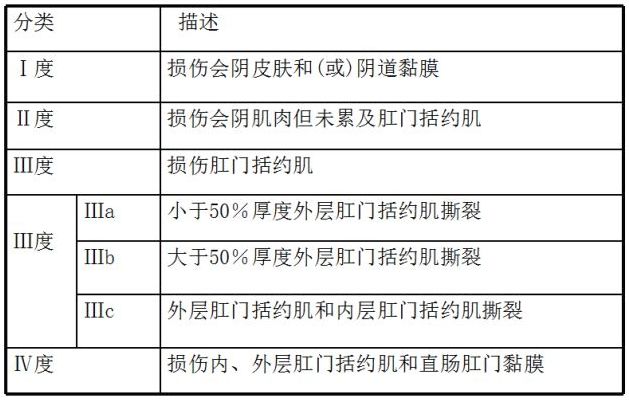 一到四度裂伤示意图图片