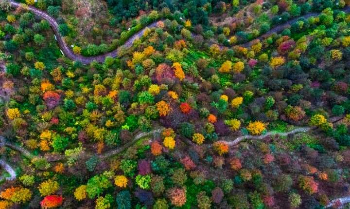 春节到巴南游彩色森林,春夏秋冬不同景色不同路,春天还会远吗?_景区